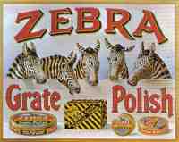 zebra black-lead